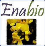 Enabio